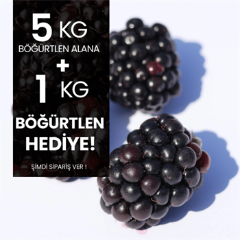 5 kg Böğürtlen Alana 1 kg HediyeMeyve Sebze