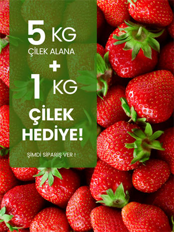 5 kg Çilek Alana 1 kg Hediye
