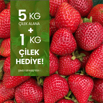 5 kg Çilek Alana 1 kg HediyeMeyve Sebze