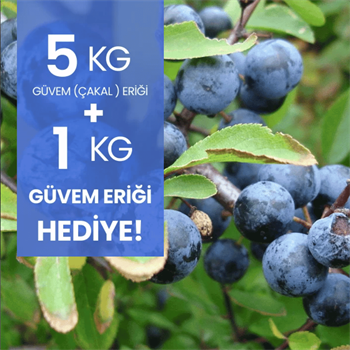 5 kg Güvem Eriği Alana 1 kg HediyeMeyve Sebze