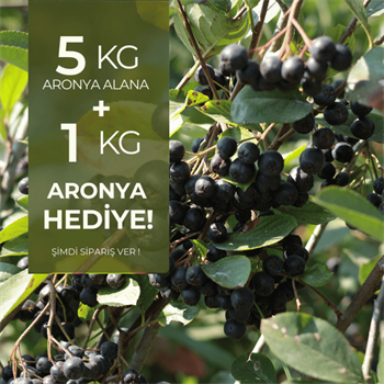5 kg Taze Aronya (Organik Sertifikalı) Alana 1 kg HediyeYaban Mersini ve Orman Meyveleri