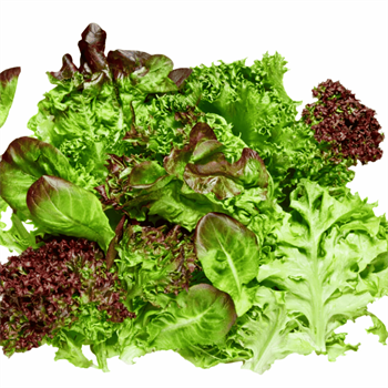 Akdeniz Salata - 150G PaketYeşillikler