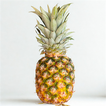 Ananas, Adet 1-1.1.2KGTropik Meyveler