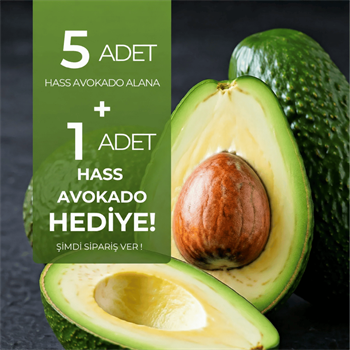 Hass Avokado 5 Adet Alana 1 adet HediyeTropik Meyveler