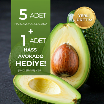 Hass Avokado 5 Adet Alana 1 adet HediyeTropik Meyveler