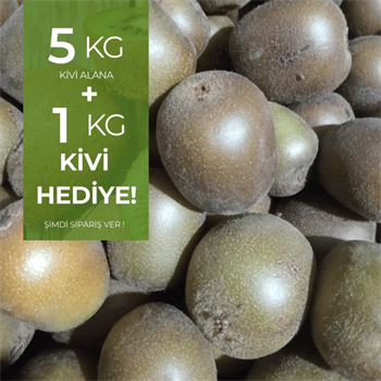 Jumbo Boy Yerli Kivi 5 kg  Alana 1 kg HediyeMeyve Sebze