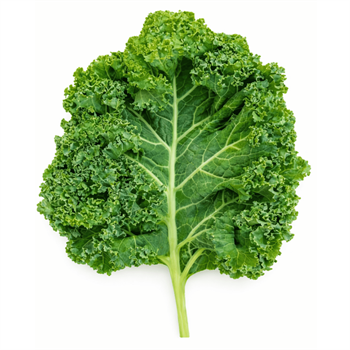 Kale Yaprağı 100 g PaketYeşillikler