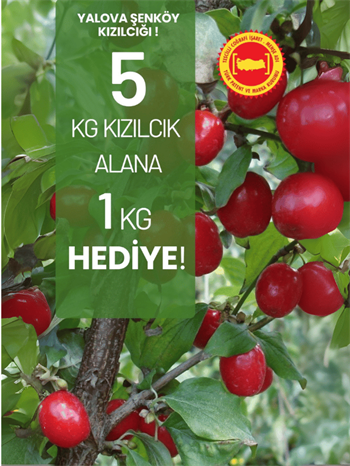 Kızılcık 5 KG Alana 1 KG HEDİYE