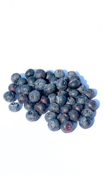 Küçük Boy Taze Yerli Yaban Mersini 1KG 
