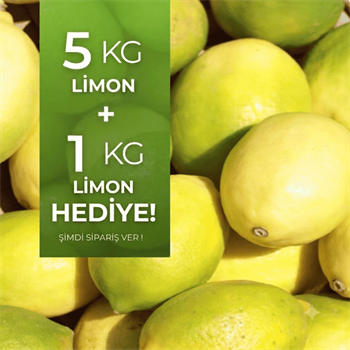 Limon 5 kg Alana 1 kg HediyeMevsim Meyveleri
