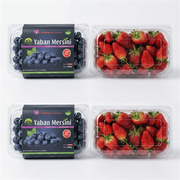 Mega Yaza Giriş Seti (1KG Yaban Mersini - 1KG Çilek)Yaban Mersini ve Orman Meyveleri