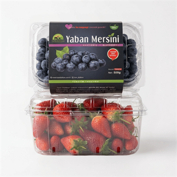 Mini Yaza Giriş Seti ( 500gr Yaban Mersini - 500gr Çilek)Yaban Mersini ve Orman Meyveleri