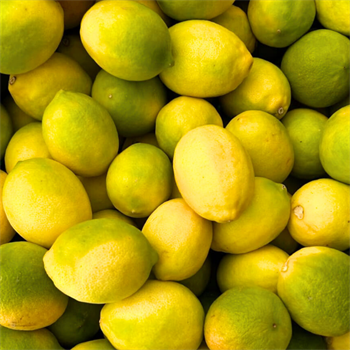 Organik Limon 1 KgMevsim Meyveleri