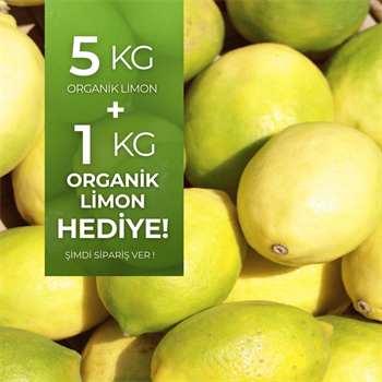 Organik Limon 5 kg Alana 1 kg HediyeMevsim Meyveleri