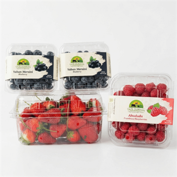 Orman Meyveleri Tanışma Paketi - 2Meyve Sebze