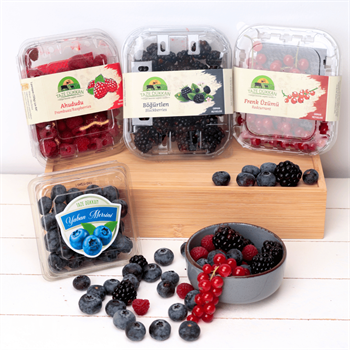 Orman Meyveleri Tanışma PaketiMeyve Sebze