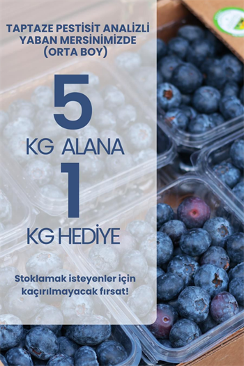 Orta Boy Yaban Mersini 5 KG Alana 1 KG HEDİYE