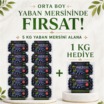 Orta Boy Yaban Mersini 5 KG Alana 1 KG HEDİYEYaban Mersini ve Orman Meyveleri