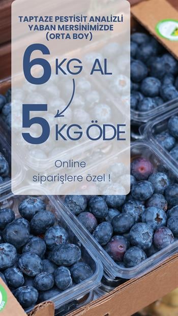 Orta Boy Yaban Mersini 6 KG Al 5 KG Öde