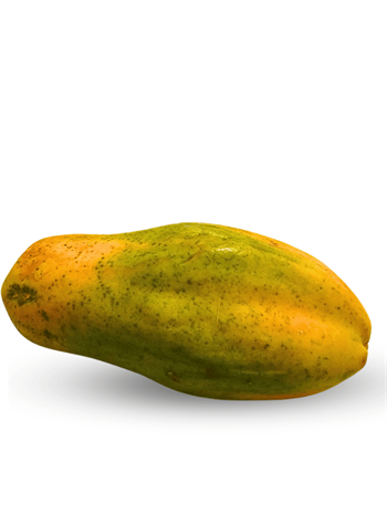 Papaya (450-650gr) 