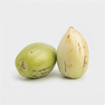 Pepino Tropik Meyveler