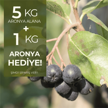 Taze Aronya (Coğrafi İşaretli) 5 kg  Alana 1 kg HediyeYaban Mersini ve Orman Meyveleri