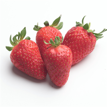 Taze Çilek İyi Tarımİstanbul Kurye Teslimat