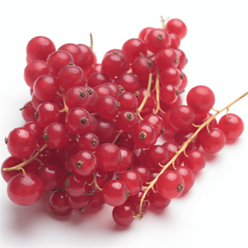 Taze Frenk ÜzümüMevsim Meyveleri