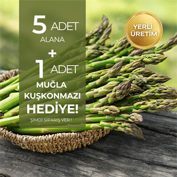 Taze Kuşkonmaz 5 adet alana 1 adet hediyeSebzeler