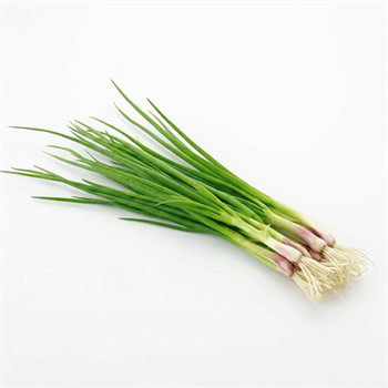 Taze Soğan - DemetYeşillikler