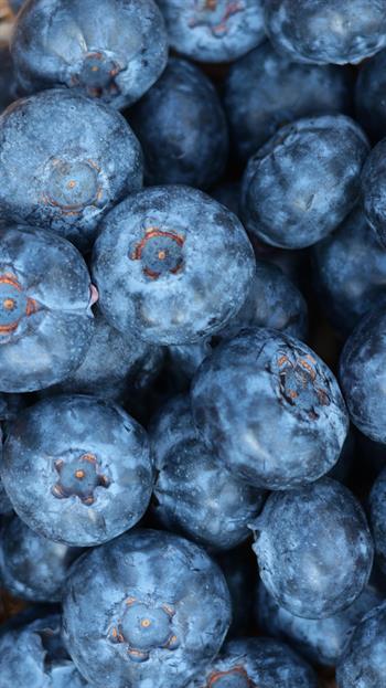 Taze Yerli Jumbo Yaban Mersini (Blueberry)