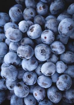 Taze Yerli Orta Boy Yaban Mersini (Blueberry)