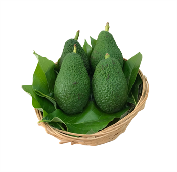 Yerli Avokado (Hass Cinsi) Adet