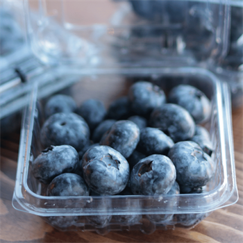 Yerli Extra Jumbo Yaban Mersini (Blueberry)Yaban Mersini ve Orman Meyveleri
