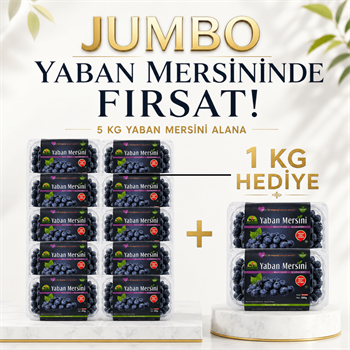 Yerli Jumbo Yaban Mersini 5 KG Alana 1 KG HEDİYEYaban Mersini ve Orman Meyveleri