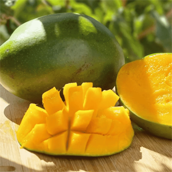 Yerli Mango (Yemeye Hazır) Adet 300-400 GRTropik Meyveler