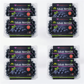 Yerli Yaban Mersini Aboneliği Yaban Mersini ve Orman Meyveleri