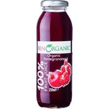 BENORGANİK KARIŞIK MEYVE SUYU 250  ML