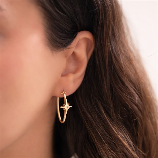 Cetaş Eterna Taşlı Kuzey Yıldızı 14 Ayar Altın Küpe