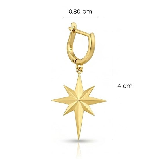 Ema Kuzey Yıldızı Sallantılı Altın Küpe