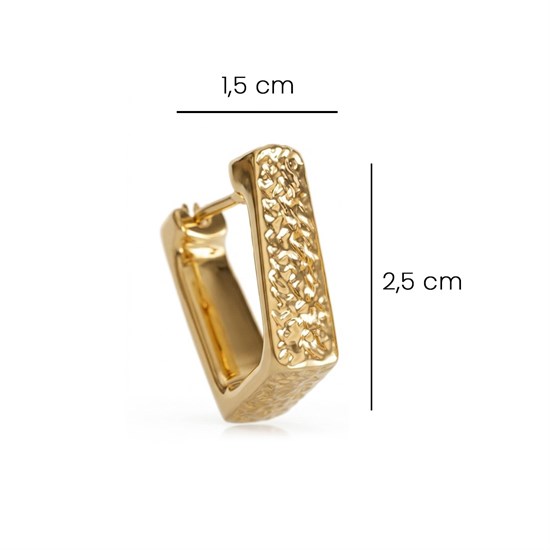 Desenli Model 14 Ayar Altın Küpe