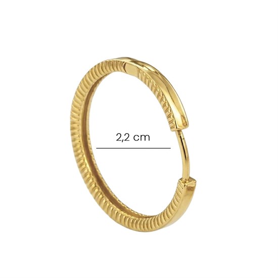 Halka Ajda Küpe 14 Ayar Altın 2,2 Cm
