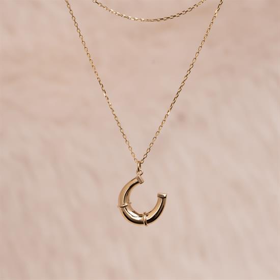 At Nalı 14 Ayar Altın Kolye