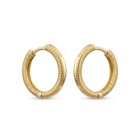 Ajda 14 Ayar Altın Halka Küpe