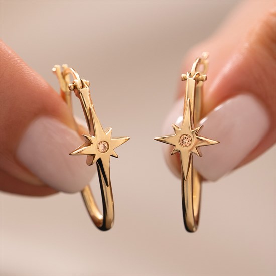 Cetaş Eterna Taşlı Kuzey Yıldızı 14 Ayar Altın Küpe