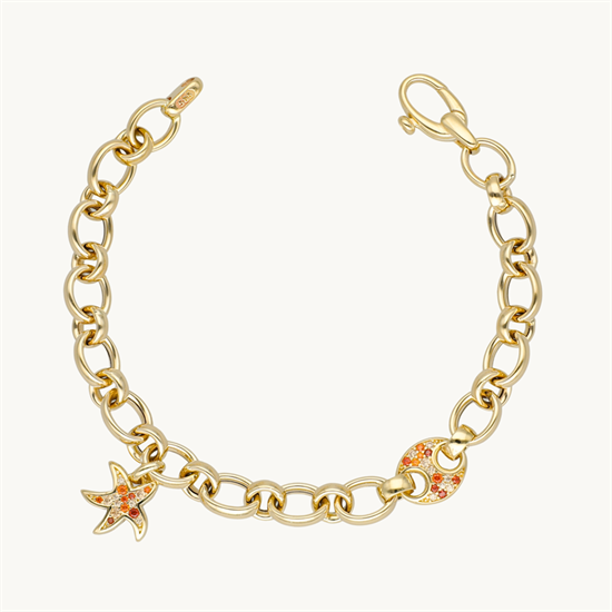 Cetaş Aqualis Bileklik 14 Ayar Altın