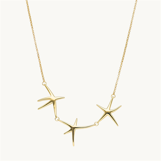 Cetaş Aqualis Kolye 14 Ayar Altın