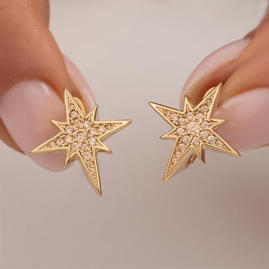 Cetaş Taşlı Kuzey Yıldızı 14 Ayar Altın Küpe