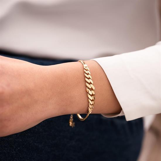 Gurmet Balıksırtı Bileklik 14 Ayar Altın