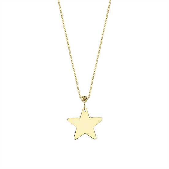Yıldız 14 Ayar Altın Kolye